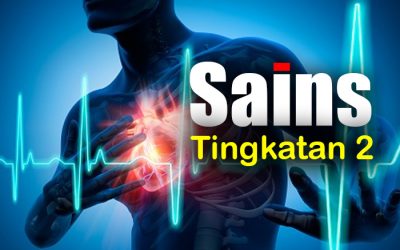 Kelas Tuisyen Online Sains Tingkatan 2 Sains Tingkatan 2